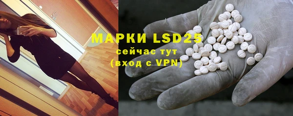 PSILOCYBIN Верея