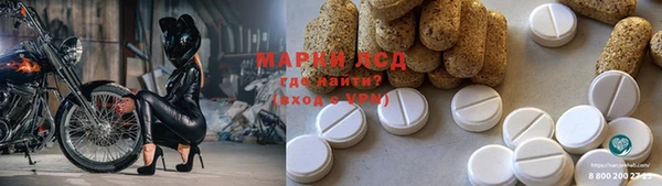 шишки Бородино