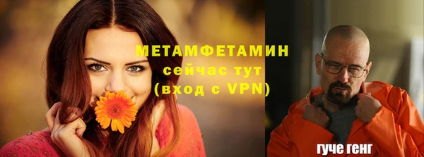 шишки Бородино