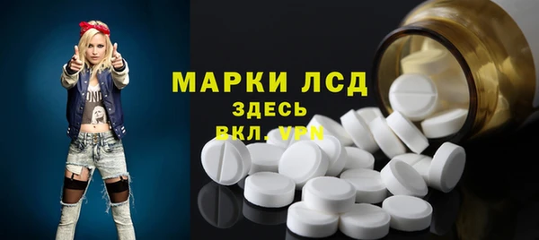 шишки Бородино