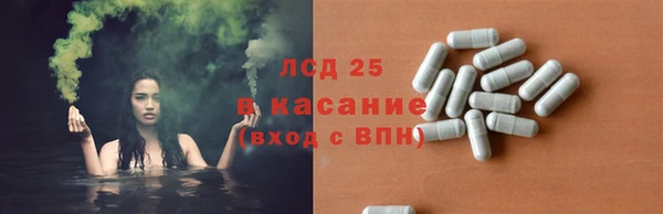 шишки Бородино