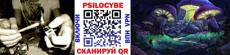 Галлюциногенные грибы Psilocybine cubensis  Керчь 
